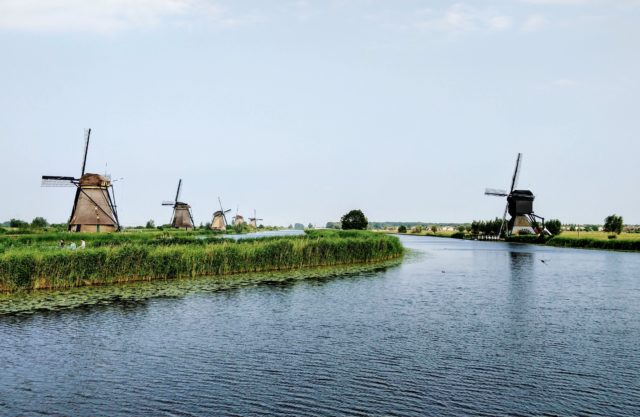 Zaanregion für Angelurlaub in Holland