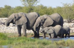 Urlaub in Namibia