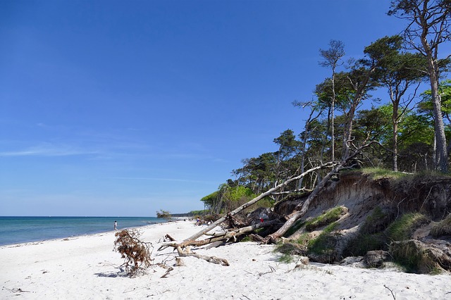 Darßer Weststrand