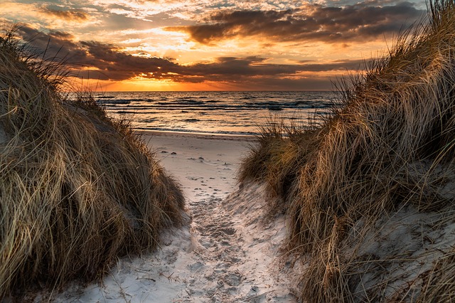 Weststrand Darß Mecklenburg Vorpommern