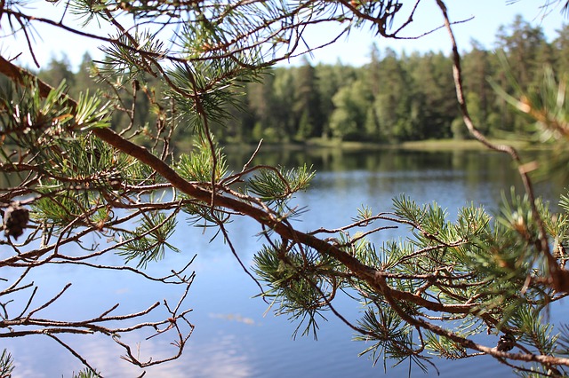 Lake Asnen in Schweden