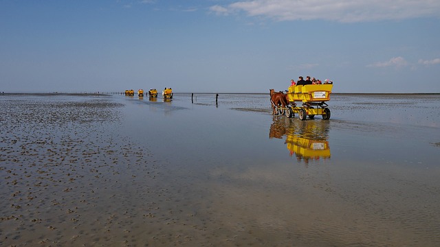 Ausflug durch das Wattenmeer