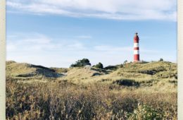 Urlaub auf Amrum, die besten Reisetipps