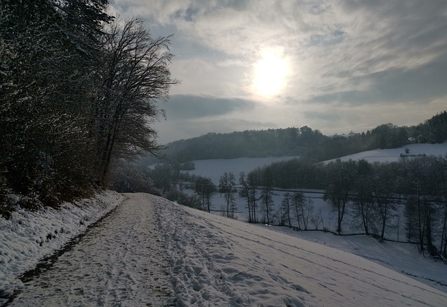 Schnee im Odenwald